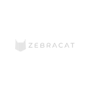 zebracat
